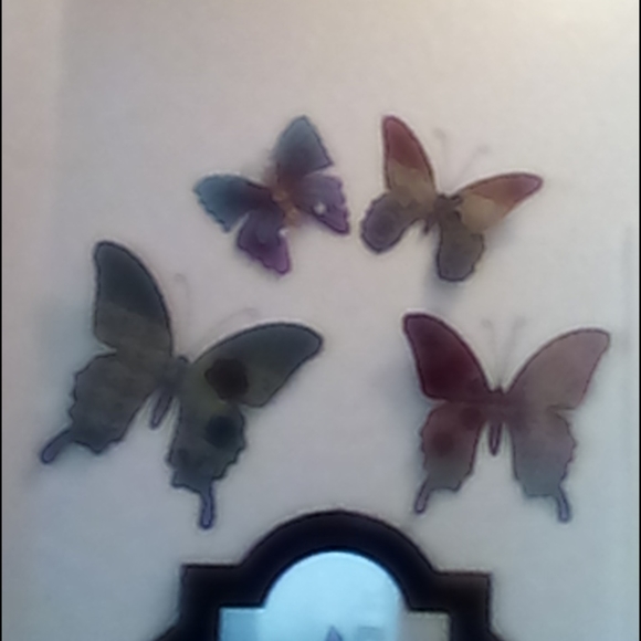 Meet your Posher, Lala - Picture 4 of 4